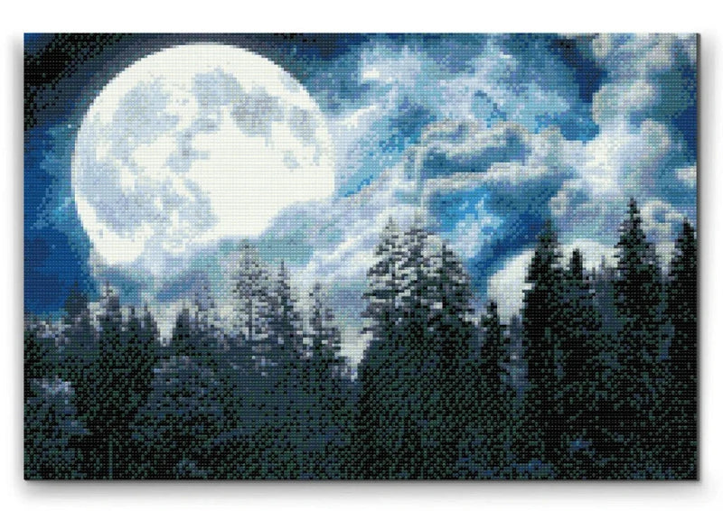 Full Moon Over the Forest