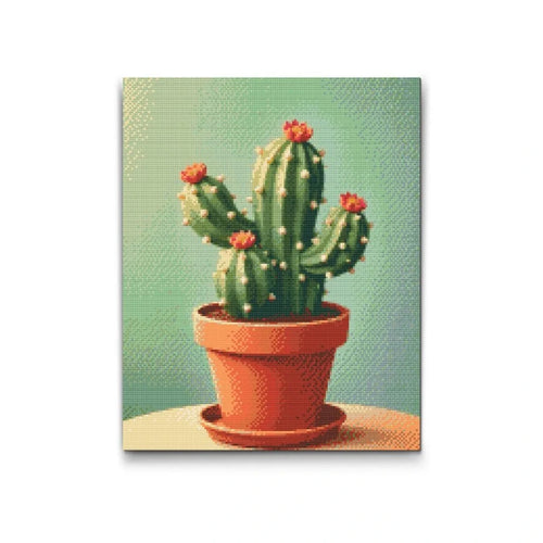 Cactus in a Terracotta Pot